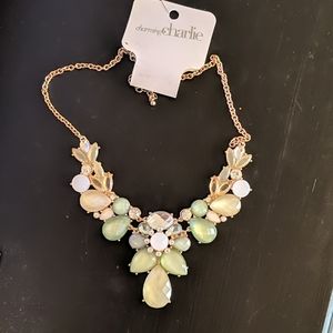 Charming Charlie necklace